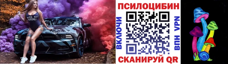 Галлюциногенные грибы Psilocybine cubensis Купить закладки Тетюши